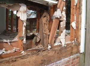 termite-damage